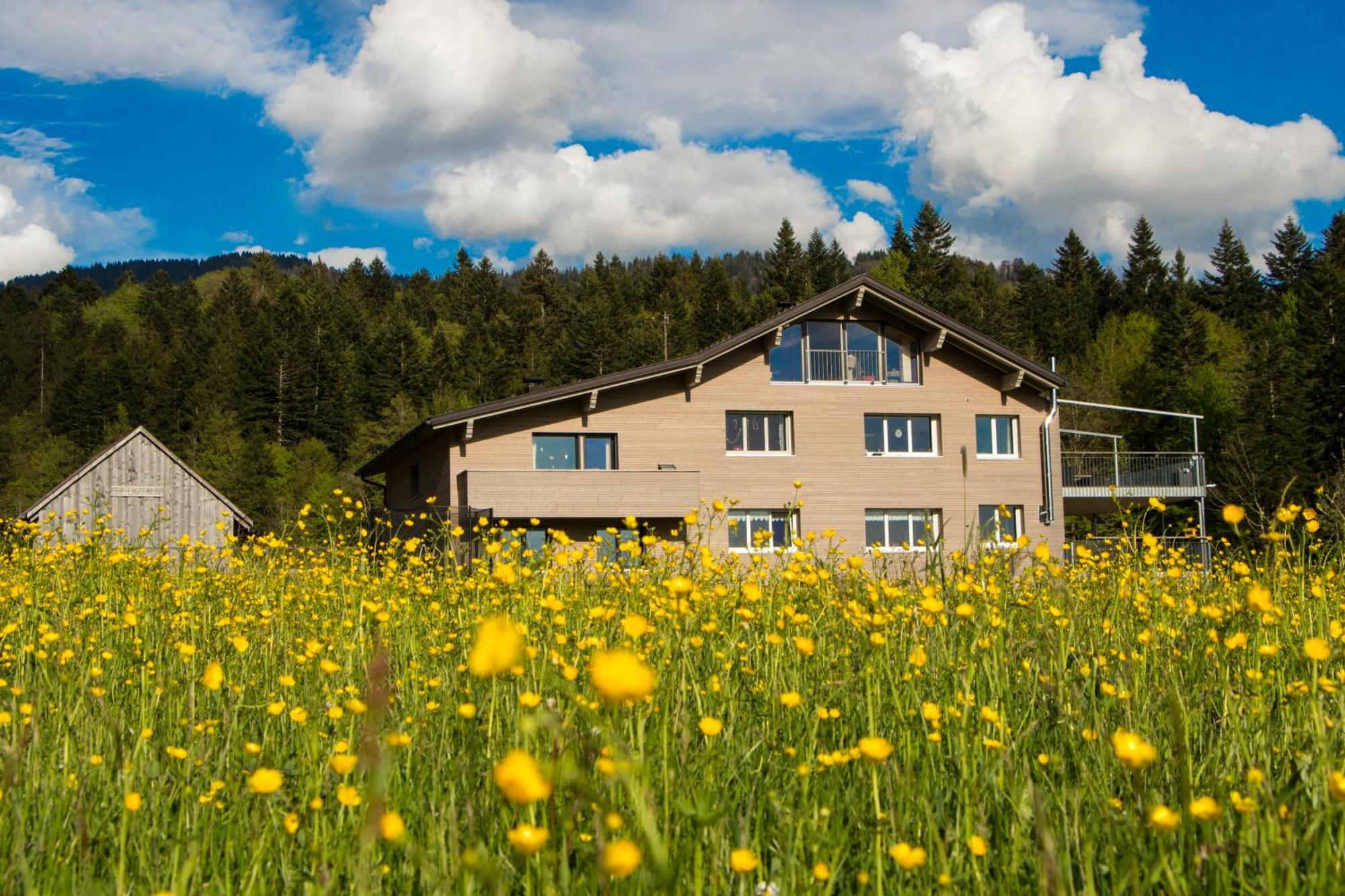 Haus Feurstein Appartement Hittisau Buitenkant foto